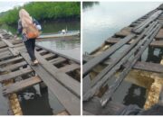 Jembatan di Dusun Upo Sudah Sangat Rapuh, Ratusan Siswa Bertaruh Nyawa Demi Sekolah!