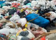 Sampah Menumpuk di Sepanjang Jalan By Pass Gorontalo Utara: Tantangan Besar bagi Lingkungan dan Kenyamanan Masyarakat