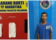 Satresnarkoba Polresta Palangka Raya Tangkap MF dengan 2 Paket Sabu