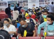 400 WNI Korban TPPO di Pulangkan ke Indonesia, Warga Sulut Termasuk yang Terbanyak