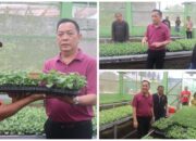 untuk Pelaksanaan TIFF 50 Ribu Benih Krisan Disalurkan ke Petani Bunga
