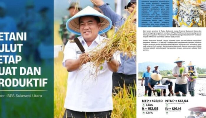 Petani Sulut Tersenyum, NTP Melonjak ke 128,50