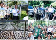 Kementan Setujui Bantuan Bibit Jagung 15 Ribu Hektare, Mentan Amran Puji Kepemimpinan Gubernur Yulius Selvanus