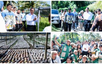 Kementan Setujui Bantuan Bibit Jagung 15 Ribu Hektare, Mentan Amran Puji Kepemimpinan Gubernur Yulius Selvanus