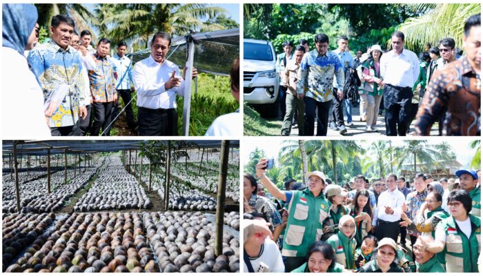 Kementan Setujui Bantuan Bibit Jagung 15 Ribu Hektare, Mentan Amran Puji Kepemimpinan Gubernur Yulius Selvanus