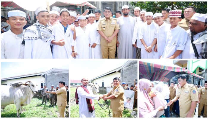 Gubernur Yulius Serahkan Sapi Kurban Bantuan Presiden Prabowo untuk Warga Bolaang Mongondow