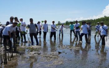 Tanam Mangrove di Pesisir Bunaken, Pemprov Sulut Perkuat Komitmen Jaga Lingkungan