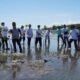 Tanam Mangrove di Pesisir Bunaken, Pemprov Sulut Perkuat Komitmen Jaga Lingkungan