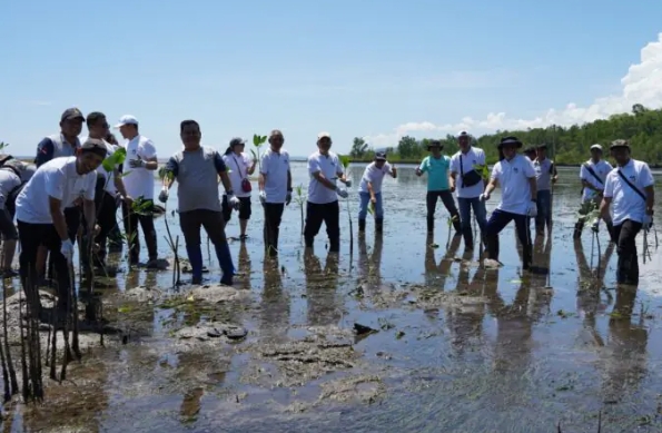Tanam Mangrove di Pesisir Bunaken, Pemprov Sulut Perkuat Komitmen Jaga Lingkungan