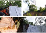PLN ULTG Kotamobagu Tuntaskan Mitigasi Longsor dan Penebangan Pohon Kritis di Jalur Transmisi