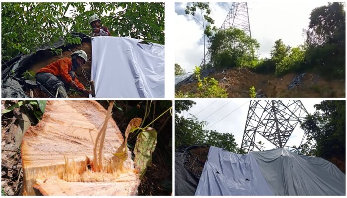 PLN ULTG Kotamobagu Tuntaskan Mitigasi Longsor dan Penebangan Pohon Kritis di Jalur Transmisi