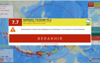 Pasca Ancaman Tsunami Dicabut, Gubernur Yulius Minta Daerah Segera Data Dampak Gempa M7,7