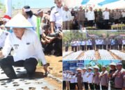 Wali Kota Tomohon Hadiri Penanaman Bawang Putih Serentak Nasional
